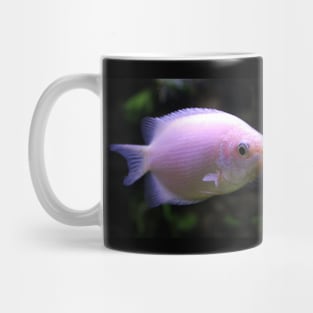 Give Me A Kiss - Kissing Fish Mug